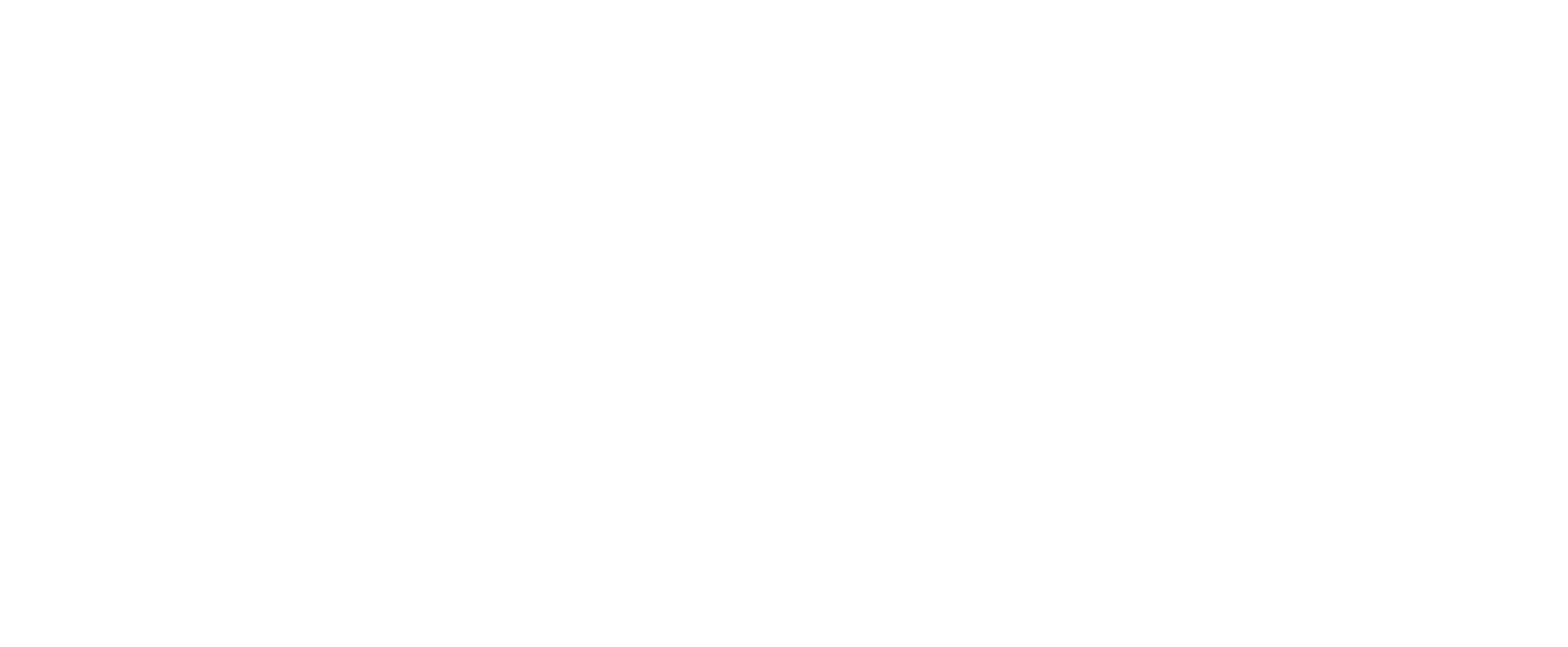 AMPI Logo